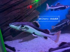 -蓬莱欧乐堡海洋极地世界