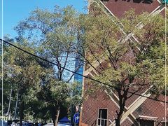 -金鼎轩(亚运村店)