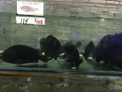 -钱大妈海鲜饭店(保利林语店)