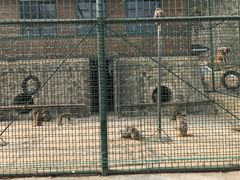 -南京金牛湖风景区