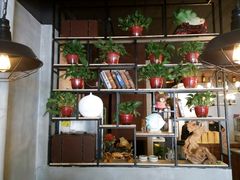 -猫姑娘大盘鸡(商城路店)