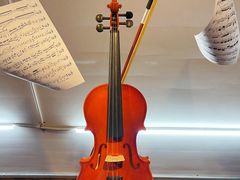 -树懒黑胶唱片店(中山路店)