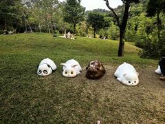 -云溪植物园