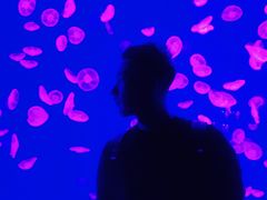 -波塞冬旅游度假区