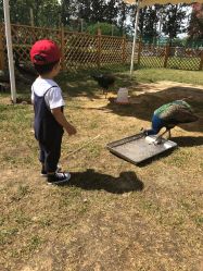 -萌宠亲子动物乐园(槐房万达店)