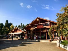 -捞渔河湿地公园