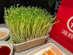 -海底捞火锅(崇文门新世界百货店)