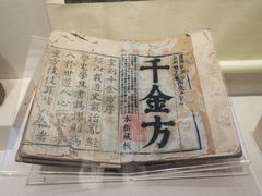 -广东中医药博物馆