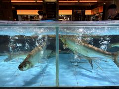 -紫阳海鲜楼·传承闽味(长乐路总店)
