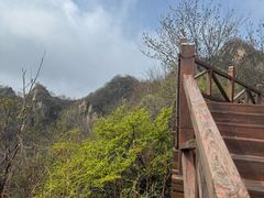 -大岭沟猕猴桃谷风景区
