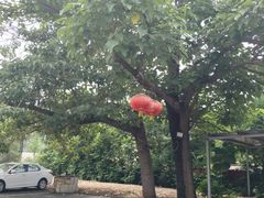 -姥家大锅台水库渔家