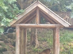 -扬州市茱萸湾风景区