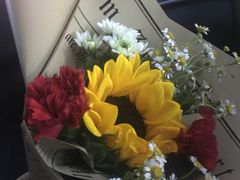 -循礼门鲜花花市(武汉循礼门店)