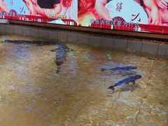 -胖姐渔村(中源大道店)