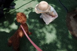 -萌宠亲子动物乐园(槐房万达店)