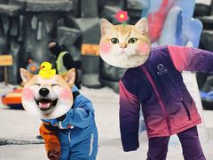 -重庆际华园室内极限运动中心