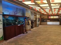 -悠然湯·汗蒸汤泉会馆