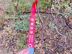 -龙洞风景区-藏龙涧