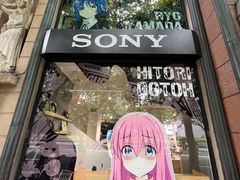 -Sony Store 索尼(上海淮海中路店)