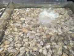 -大漠风烤肉火锅自助餐厅(鹰展店)