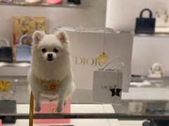 -DIOR迪奥(德基广场女装店)