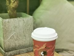 烟雨乌龙-茶理宜世(东方宝泰店)
