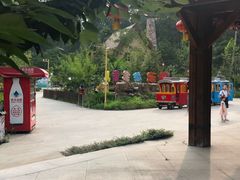 -合肥滨湖国家森林公园