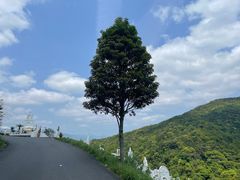 -龙岩森林水乡景区