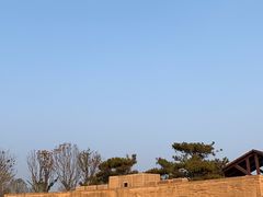 -盘龙城国家考古遗址公园