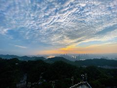 -大金鹰园