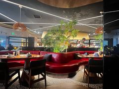 -拉蒂娜·巴西牛排馆 Latina·Brazilian Steakhouse(王府井喜悦店)