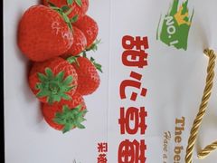 -甜心庄园·甜心草莓采摘园(西青中北店)