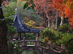 -上海醉白池公园