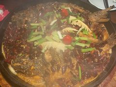 老板恋上鱼-老板恋上鱼(高新万达店)