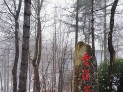 -洛阳白云山景区