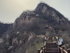 -大岭沟猕猴桃谷风景区