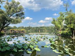 -承德避暑山庄景区
