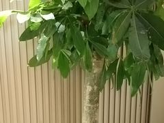 -普天和酒楼(天津之眼店)