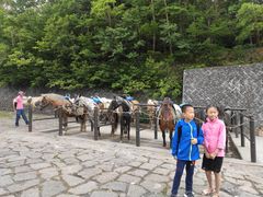 -富士山吉田線五合目