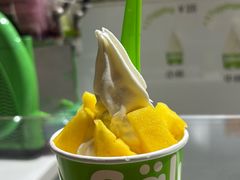 -Salud撒露欧洲冻酸奶(北苑上品店)