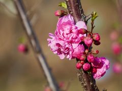 -北京西山国家森林公园