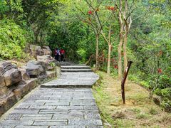 -广州白江湖森林公园