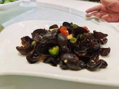 泡椒海木耳-骏莱海鲜鱼港(五角场店)