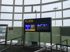 -杭州萧山国际机场