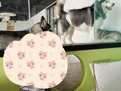 -Husky Go! 哈士奇体验馆·宠物咖啡厅狗咖