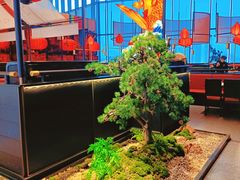 -天辣(金桥啦啦宝都店)