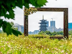 -洋湖国家湿地公园