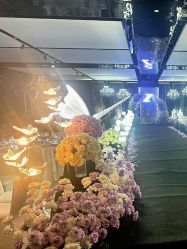 -凯宾斯基饭店·宴会厅