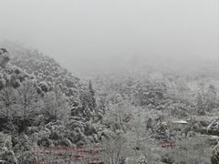 -安吉龙王山风景区