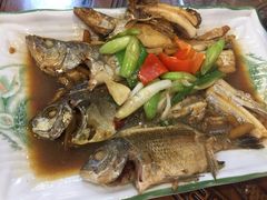 -友强·23年特色海鲜大排档(厦门店)